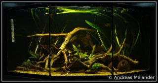 125 litre corner tank