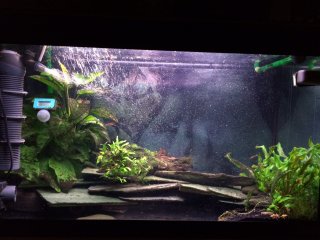 Roma 125l Roma 125l