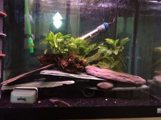 Roma 90l Roma 90l