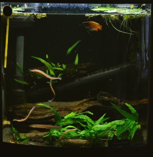 T02: 40L cube T02: 40L cube