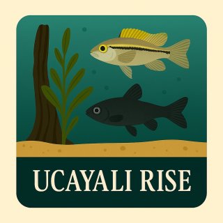 Ucayli Rise rack 10 #4 Ucayli Rise rack 10 #4