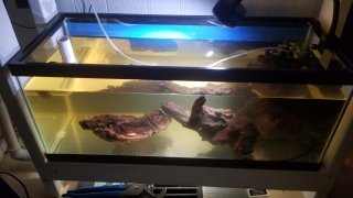 20gal #3 - Bottom Rack 20gal #3 - Bottom Rack