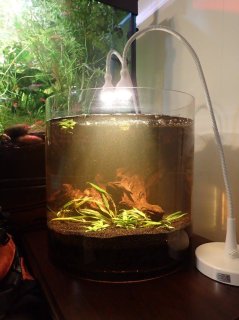 5.8 gallon - Vase 5.8 gallon - Vase