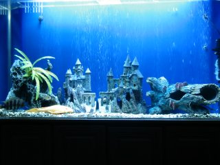 My Aquarium(1)