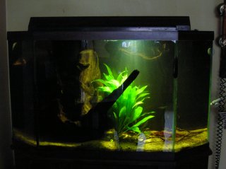 40 Gallon Community 40 Gallon Community