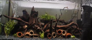 3ft L134 Leopard frog Wood & cave maze. 3ft L134 Leopard frog Wood & cave maze.