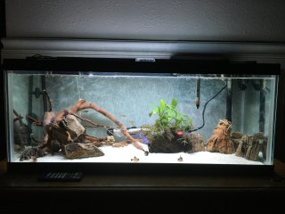 20L