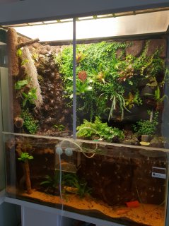 Paludarium Paludarium