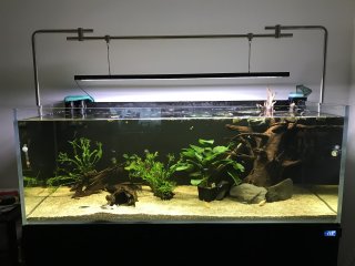 Evolution Aqua 1500 Evolution Aqua 1500