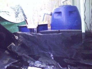 The 300 gallon stock tank