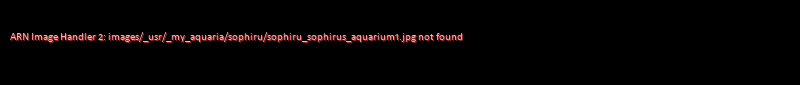 Sophirus aquarium