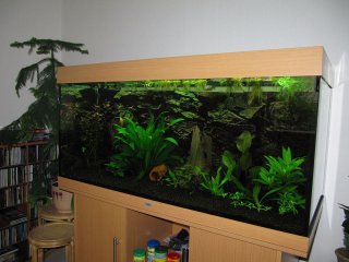Juwel Rio 300