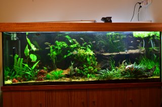 1100 litre 20mm glass