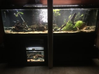 125 gallon