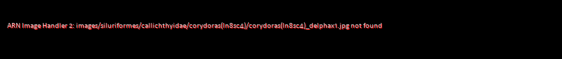Corydoras (lineage 8 sub-clade 4) delphax - Click for species data page