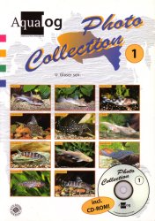 Aqualog Photo Collection 1, African Catfishes