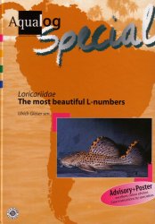 Aqualog Loricariidae, The Most Beautiful L-Numbers