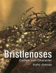 Bristlenoses Catfish with Character