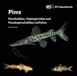 Pims Pimelodidae, Heptapteridae and Pseudopimelodidae Catfishes