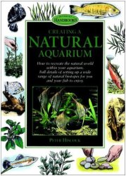 Creating a Natural Aquarium