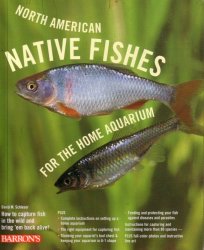 North American Native Fishes For The Home Aquarium