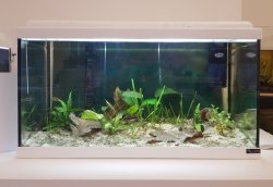 54 liter Amazon tank 54 liter Amazon tank