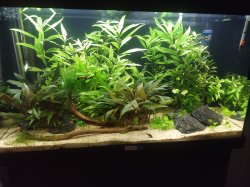 Juwel Rio 125 with LED Juwel Rio 125 with LED