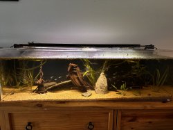 33 long 33 long