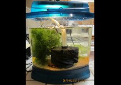 02 gal hatchery tank 02 gal hatchery tank