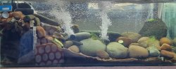 Chaetosoma River Rapids Chaetosoma River Rapids