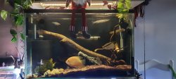 Severum River