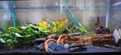 40 Breeder Community 40 Breeder Community