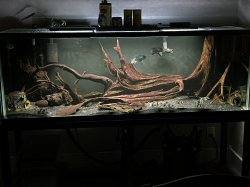 150 Gallon