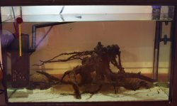 60ltr breeding tank