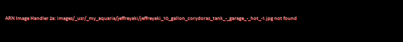 10 Gallon Corydoras Tank - Garage - Hot -