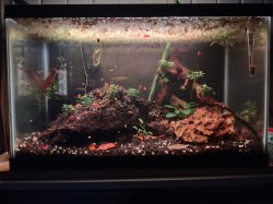 10-Gallon