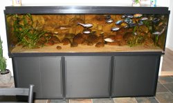 912L Malawi tank