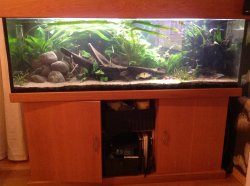 450 Litres South American community 450 Litres South American community