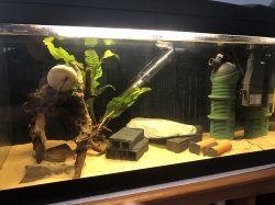 50L Breeding Tank