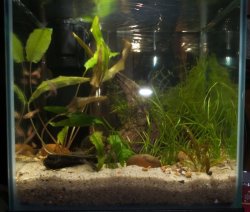 Nano 1 Nano 1