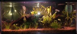 Sofa Aquarium Sofa Aquarium