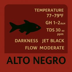 Negro