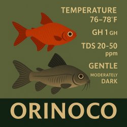 Orinoco