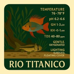 Rio Titanico