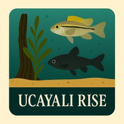 Ucayli Rise rack 10 #4