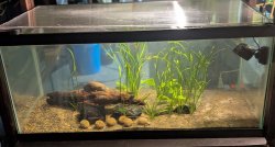 40gal - bottom
