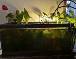 40gal - Wall - Top