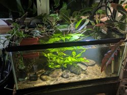 40gal - Window