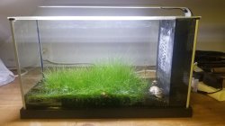 Fluval Spec V Fluval Spec V