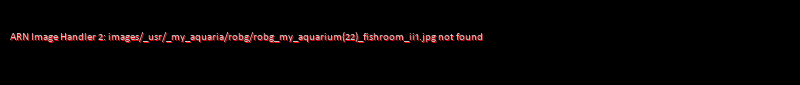My Aquarium(22) Fishroom II